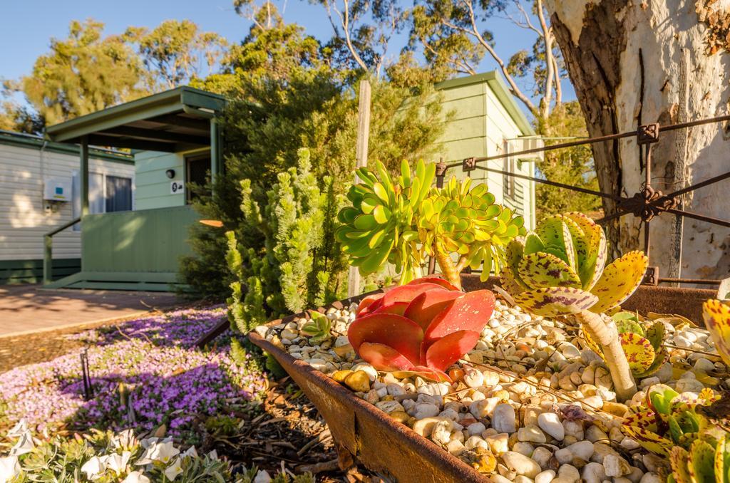 Lake Albert Caravan Park Hotel Meningie Екстериор снимка